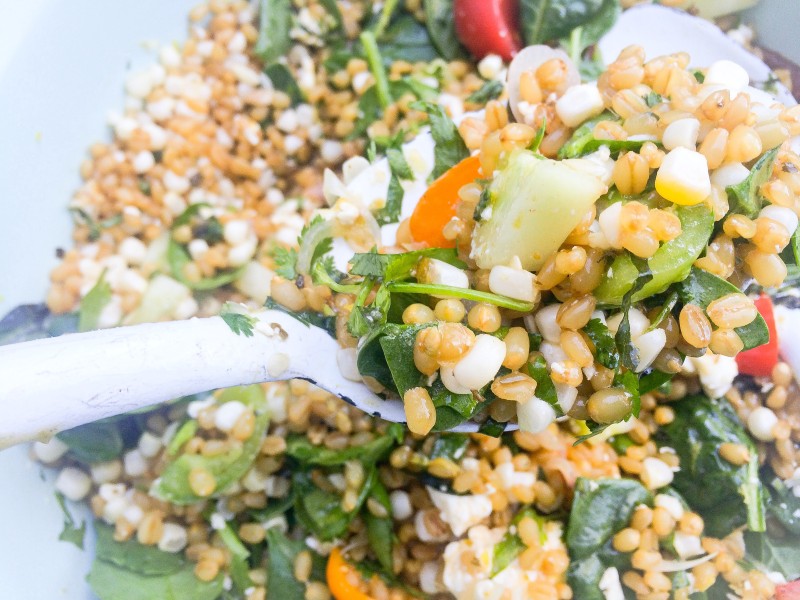 Wheatberry Salad with Corn, Tomatoes and Cucumber