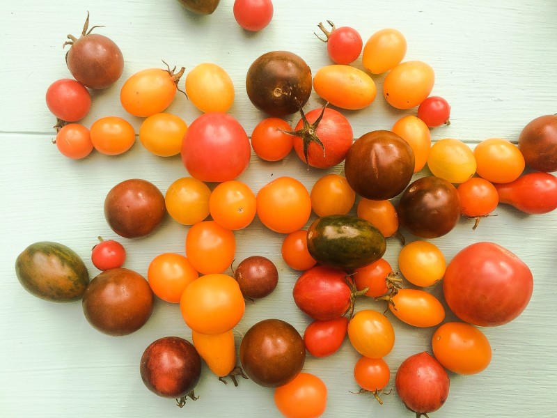 Heirloom Cherry Tomatoes for Salad