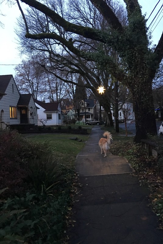 Neighborhood Walk with Star