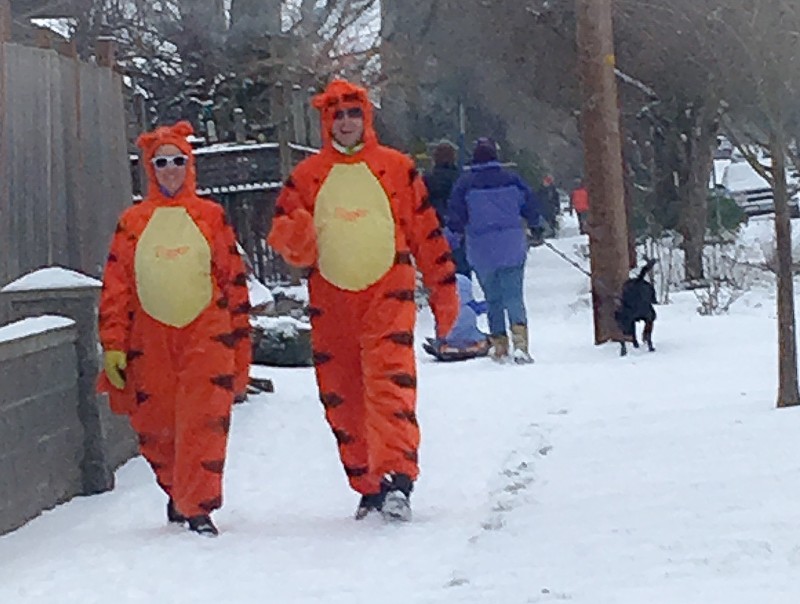 Two Tiggers in the Snow