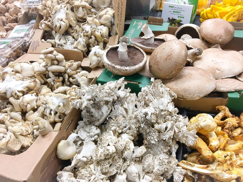 Mushroom Display at Uwajimaya