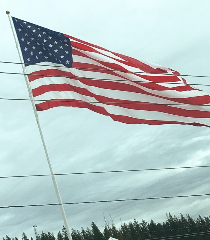 Flag at the Border