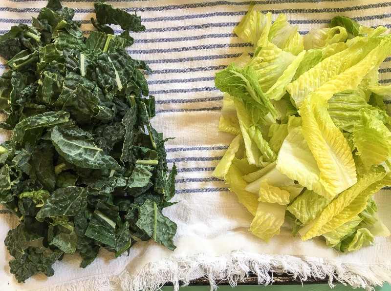 Kale and Romaine for Caesar Salad