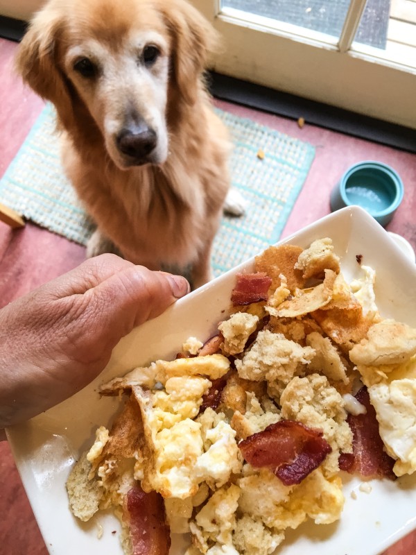 Bailey and Breakfast