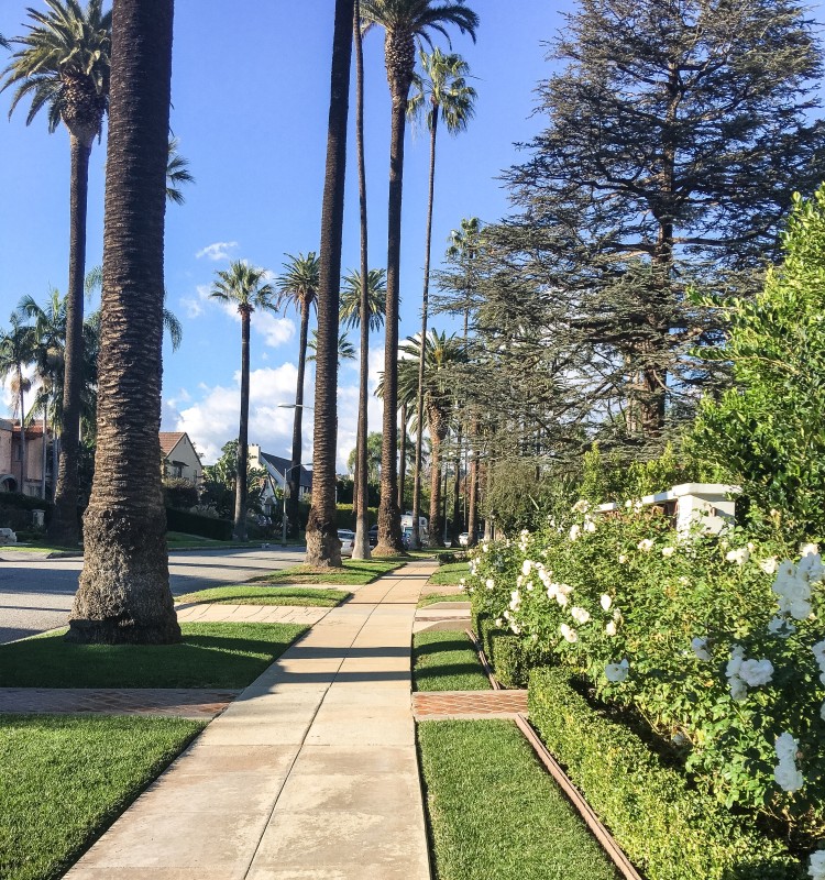 Beverly Hills walk