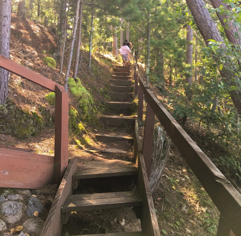 Stairs up to cabin, Wisconsin