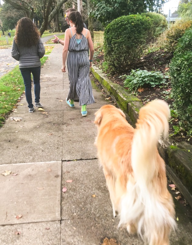 Bailey on walk with kids