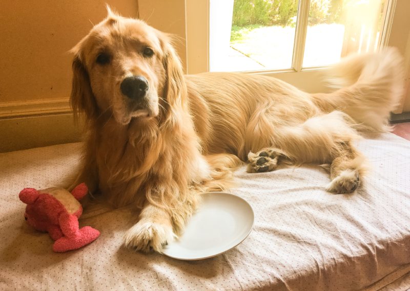 Porter with cookie plate